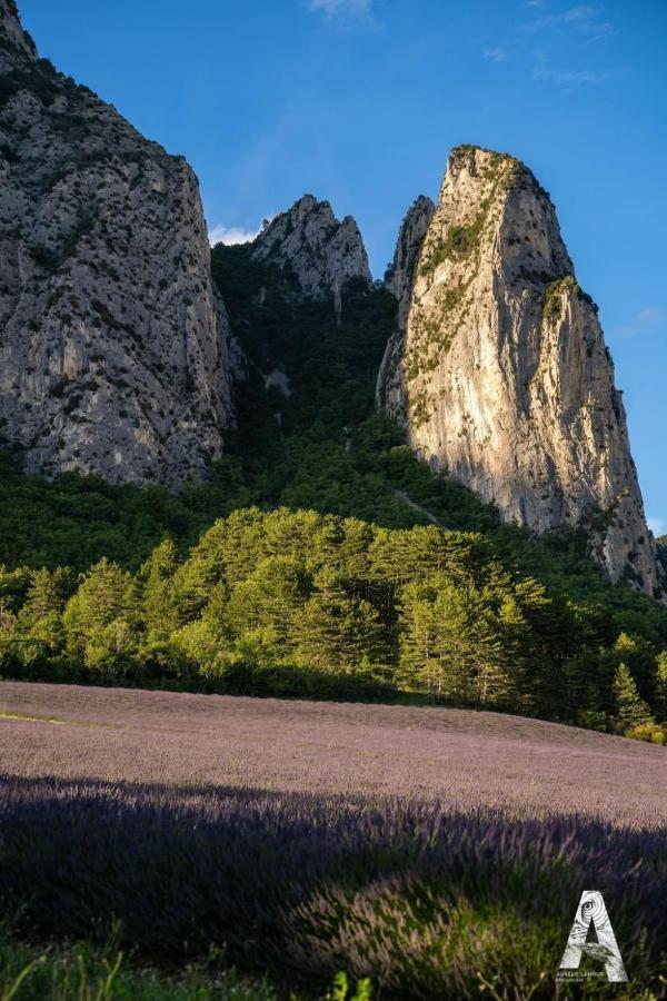 Les Appartements Du Saint Thiers, La Provence Dans Un Coin De La Drome Et L'Esprit D'Une Maison D'Hotes A Saou Экстерьер фото