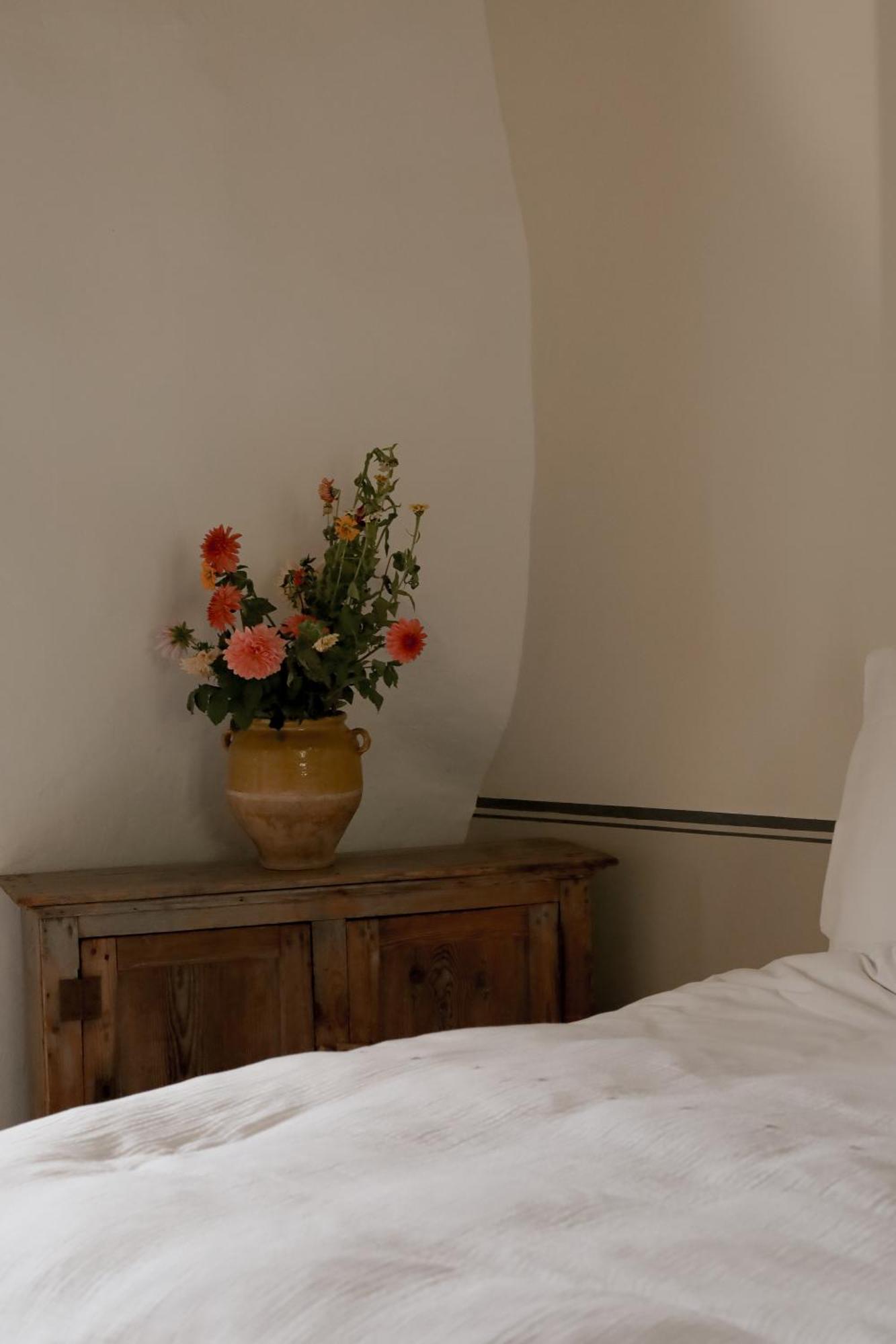 Les Appartements Du Saint Thiers, La Provence Dans Un Coin De La Drome Et L'Esprit D'Une Maison D'Hotes A Saou Экстерьер фото
